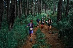 BIB: 
                            <button type="button" onclick="openModal(25660253)" class="btn btn-primary btn-sm float-right btn-popup" data-toggle="modal" data-target=".modal-high-quality">
                        <i class="fas fa-shopping-cart"></i> Add to Cart
                    </button>
                                            <button type="button" onclick="isThisMe(25660253, true)" class="btn btn-success btn-sm float-right btn-popup btn-isme hidden" data-toggle="tooltip" data-placement="bottom" title="นี่คือรูปของคุณใช่ไหม คลิกที่นี่เพื่อเอาเข้าอัลบั้ม">
                        <i class="fas fa-plus"></i> Add to album
                    </button>
                    <button type="button" onclick="isThisMe(25660253, false)" class="btn btn-warning btn-sm float-right btn-popup btn-isnotme hidden">
                        <i class="fas fa-ban"></i> Remove from album
                    </button>